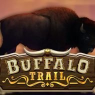 2519Buffalo-Trail.jpg